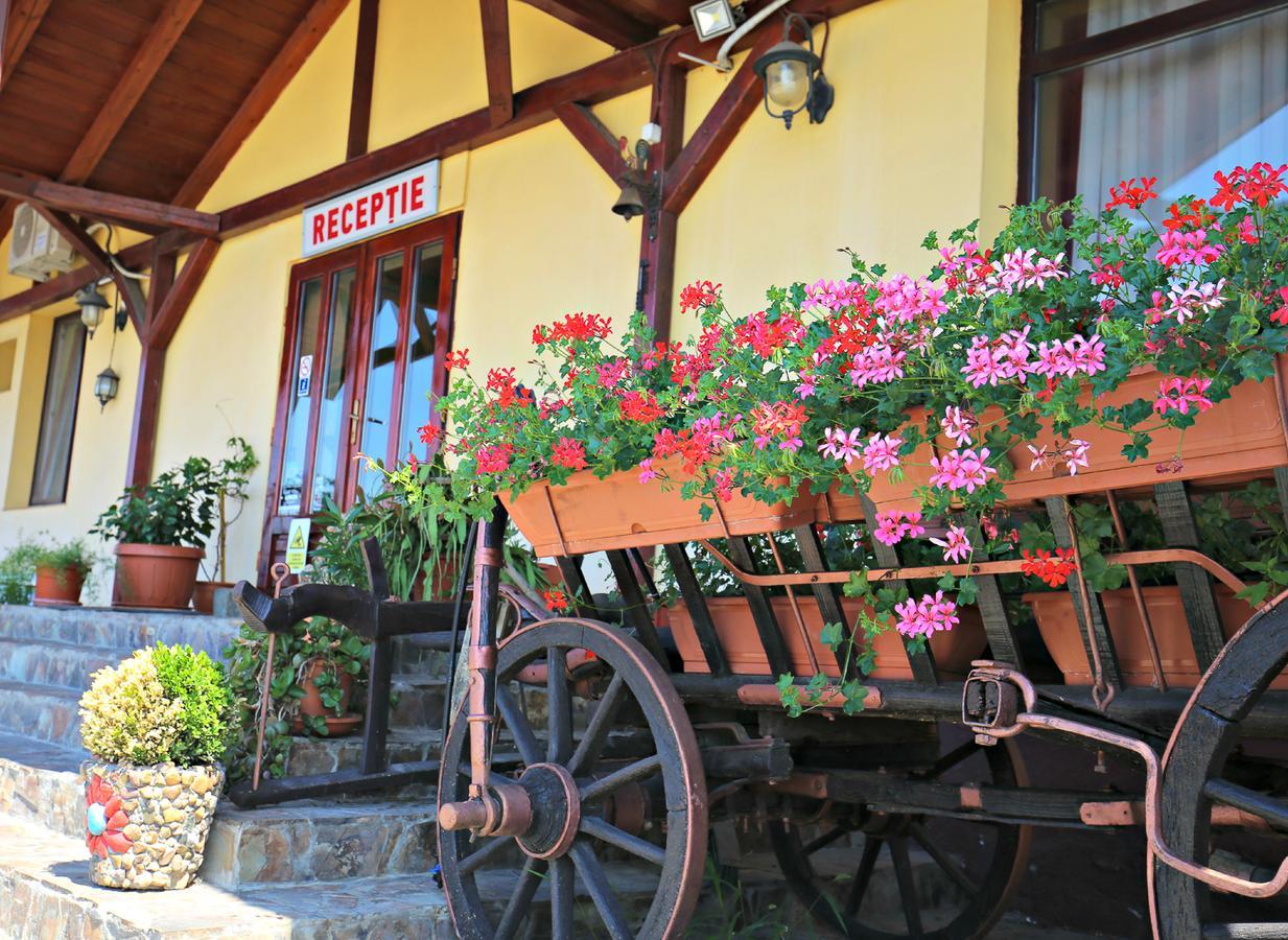 Pension Varadia Oradea Exteriér fotografie